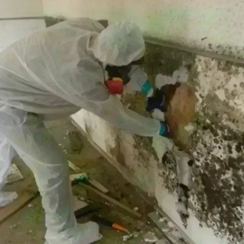 Mold Remediation and Removal in Great Barrington, MA